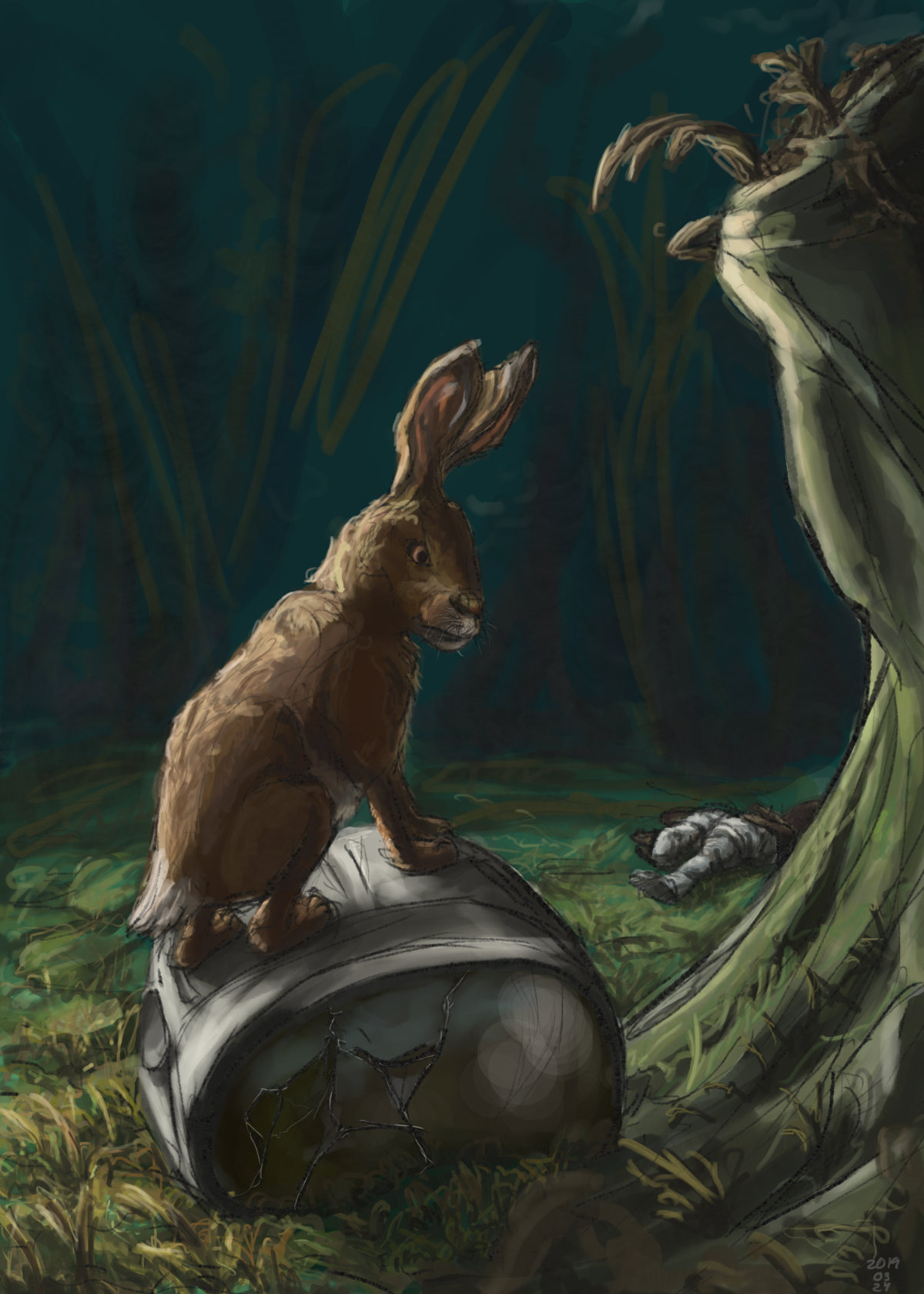 2019-03-13 rabbit helmet