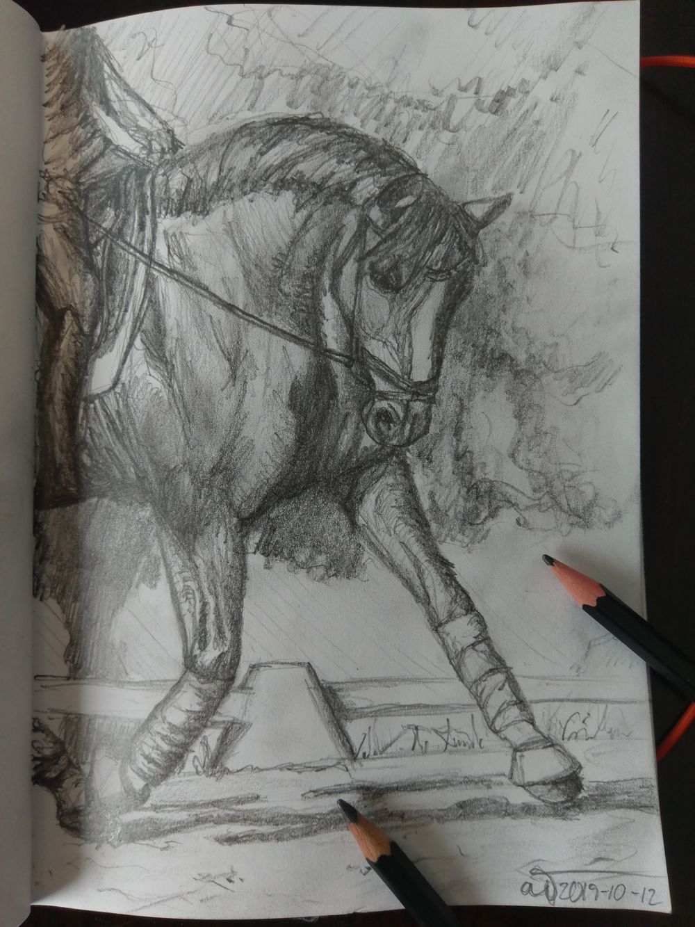 Traditional sketch of a horse