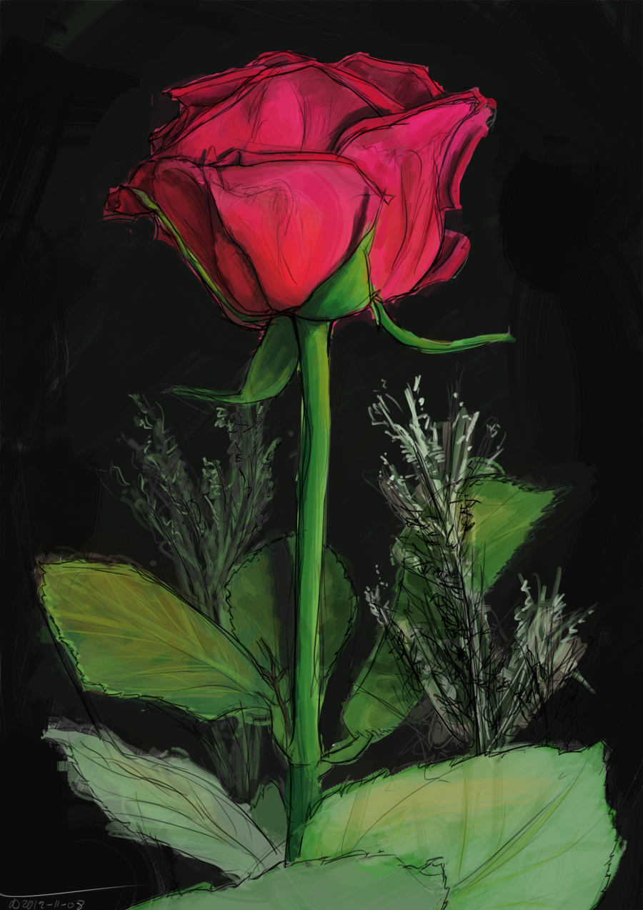 Drawing of a rose