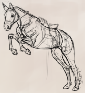 Sketch of horse jumping