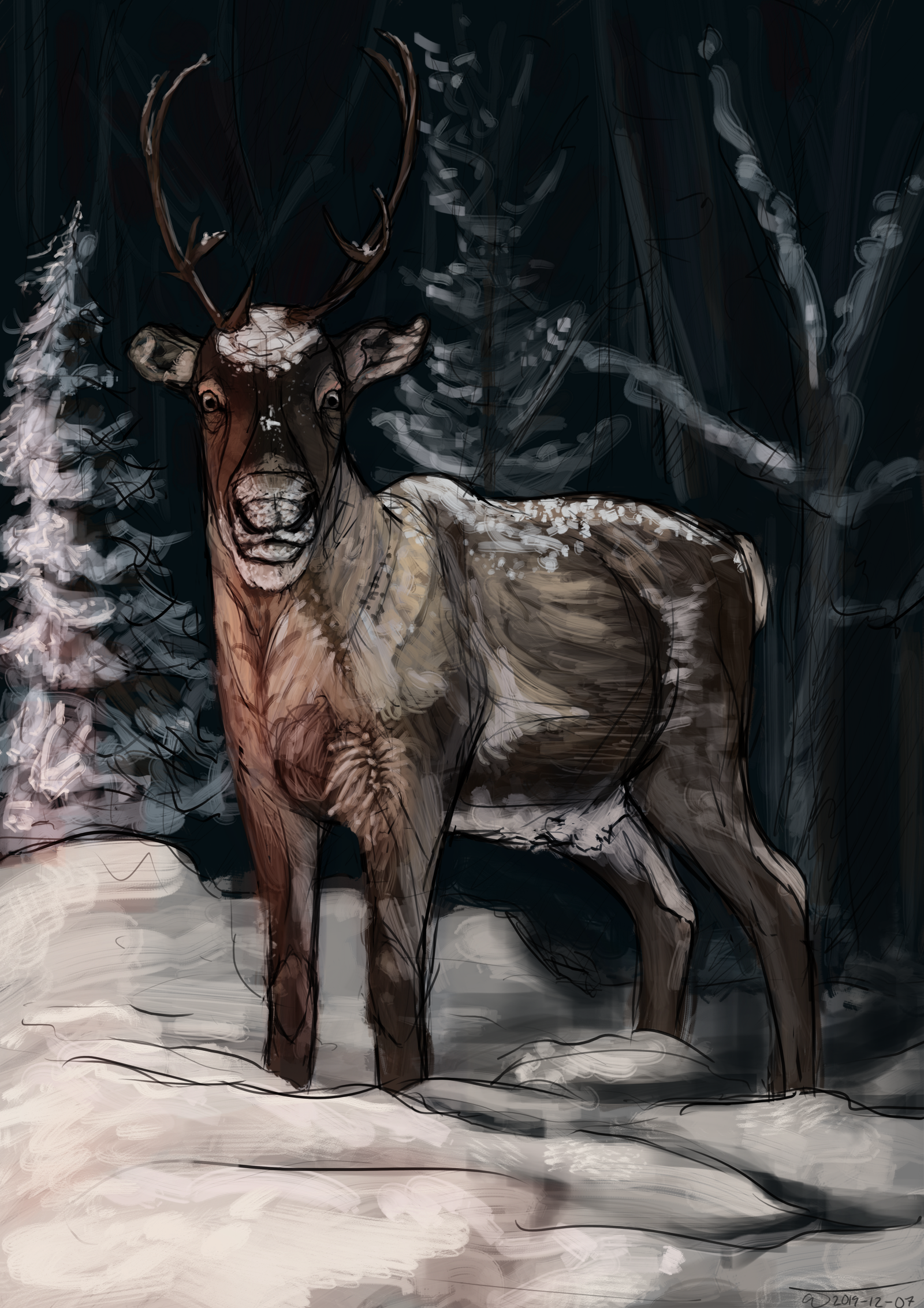 Drawing of a reindeer