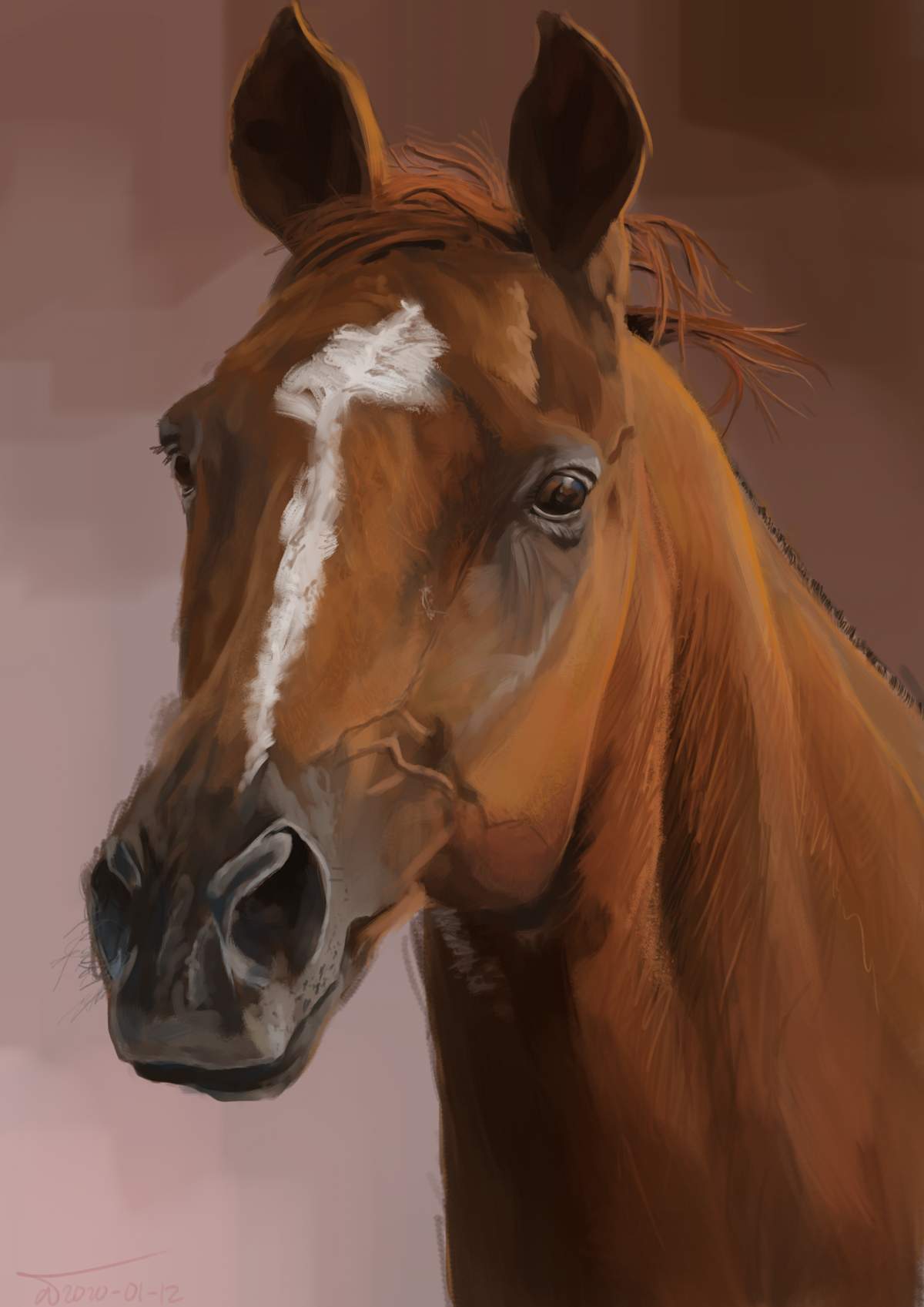 Drawing of a horse's head