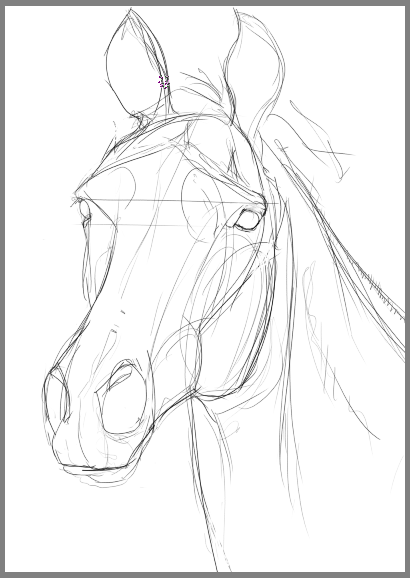 Horse head, sketch 1