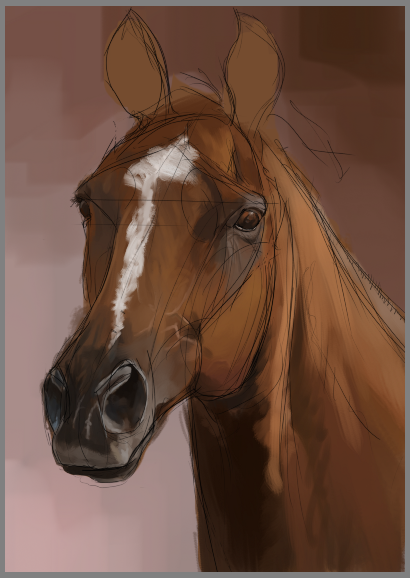 Horse head, sketch 3