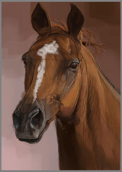 Horse head, sketch 7