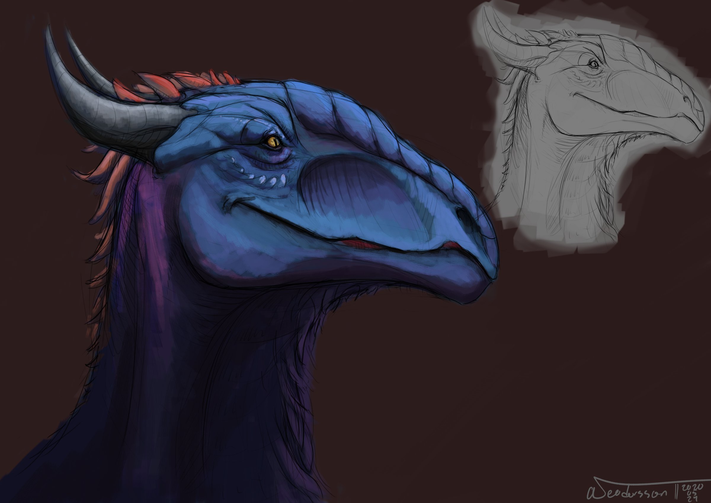 Drawing of a dragon head