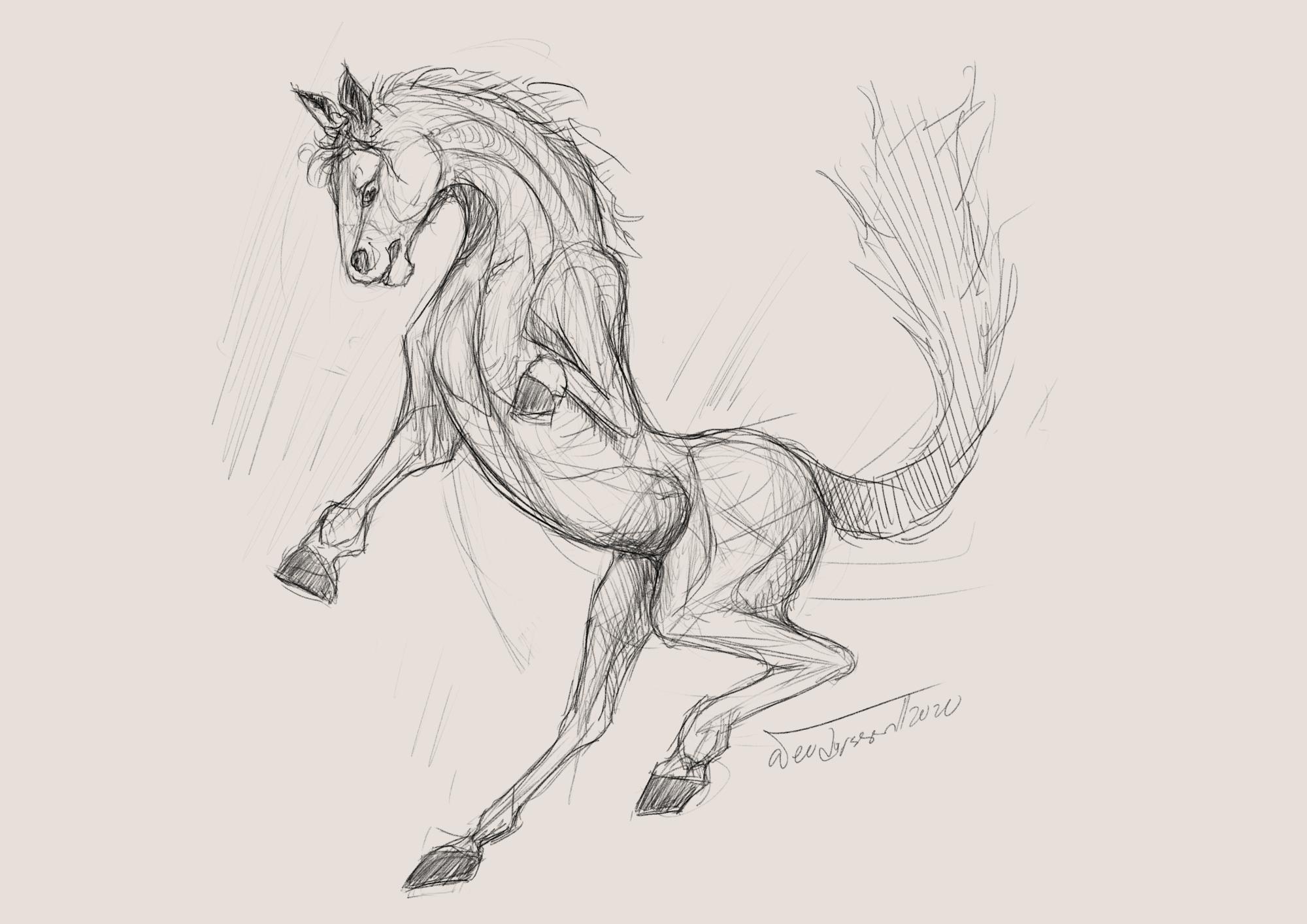 horse sketch