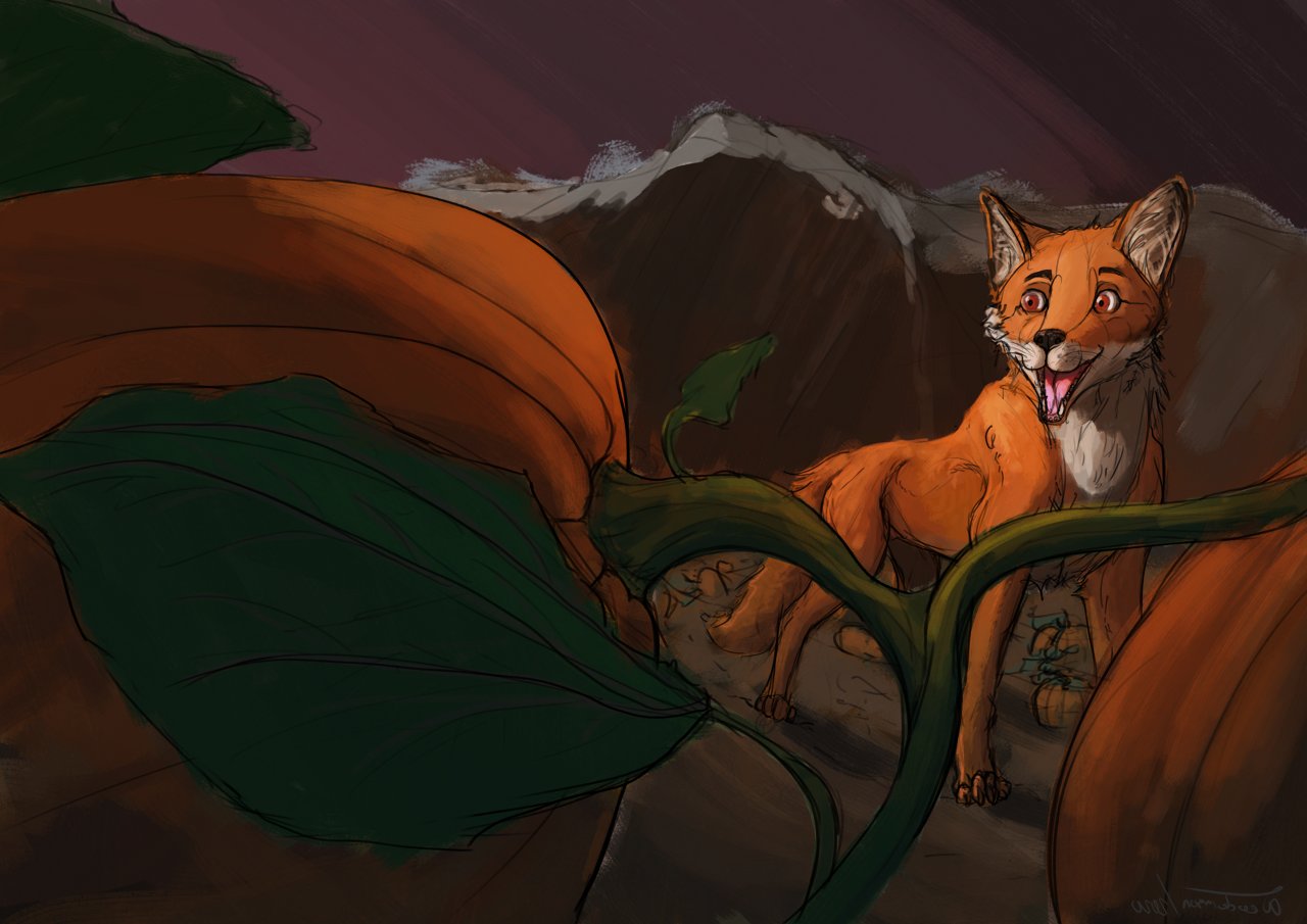 Drawing of a fox looking at a pumpkin