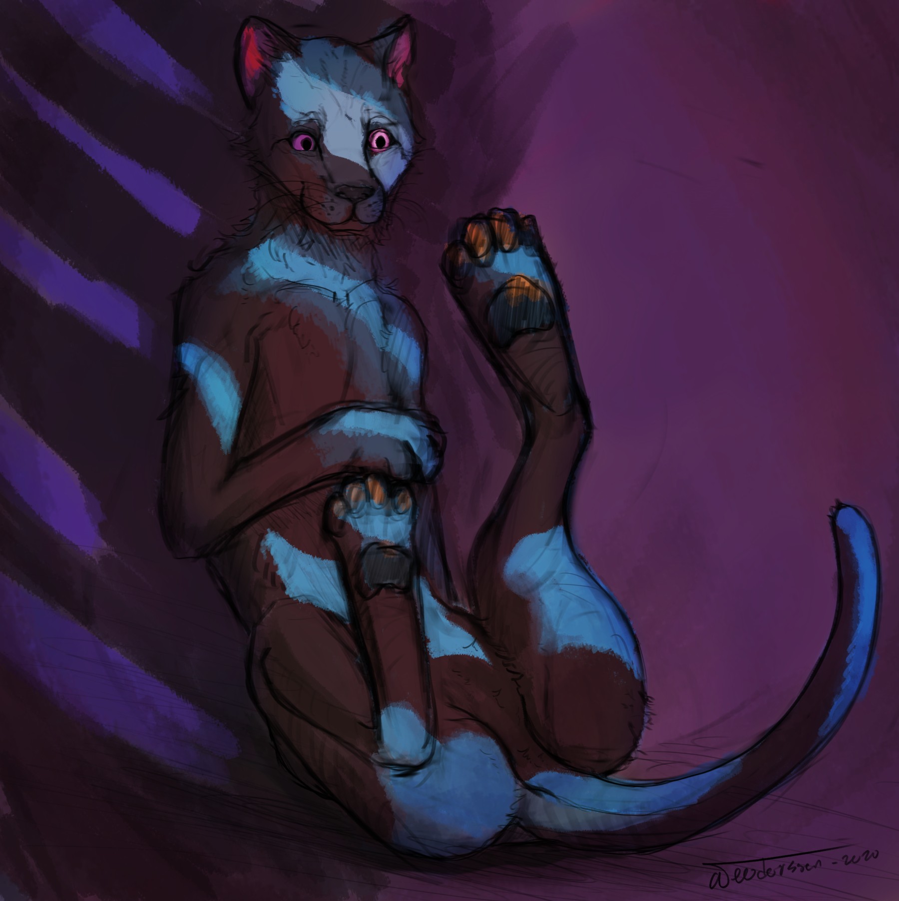 Drawing of a cat studying its paws