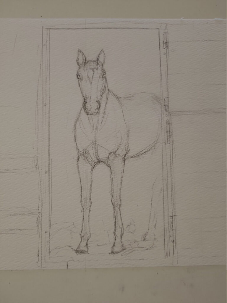 Pencil sketch of a horse