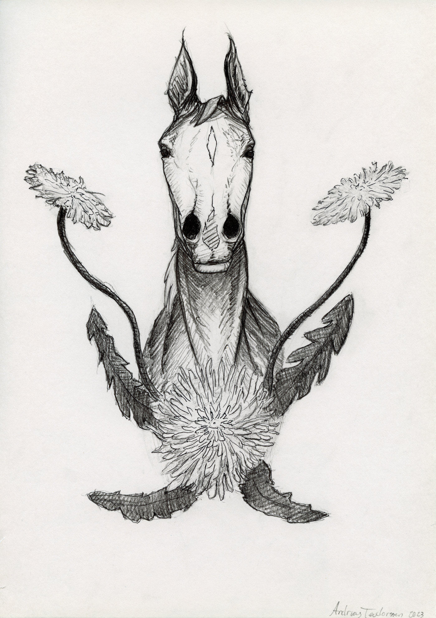 Grafitteckning över en hästbyst runt stora maskrosor