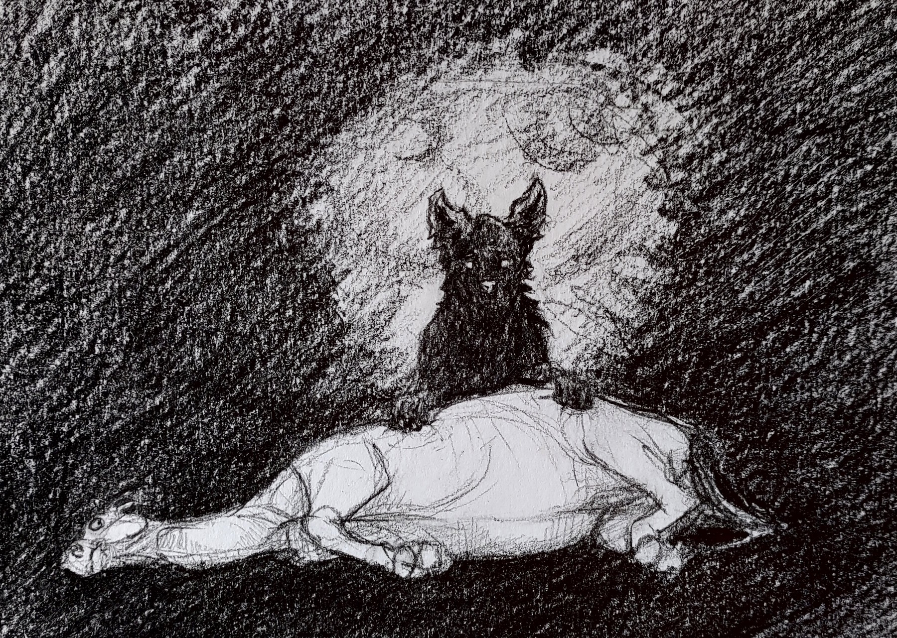 Pencil drawing of a dark scenery with a wolf sitting next to a horse laying down