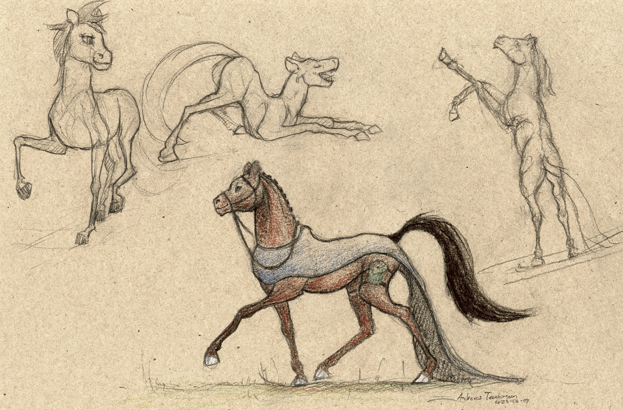 Four pencil sketches of horses on a brown cardboard paper