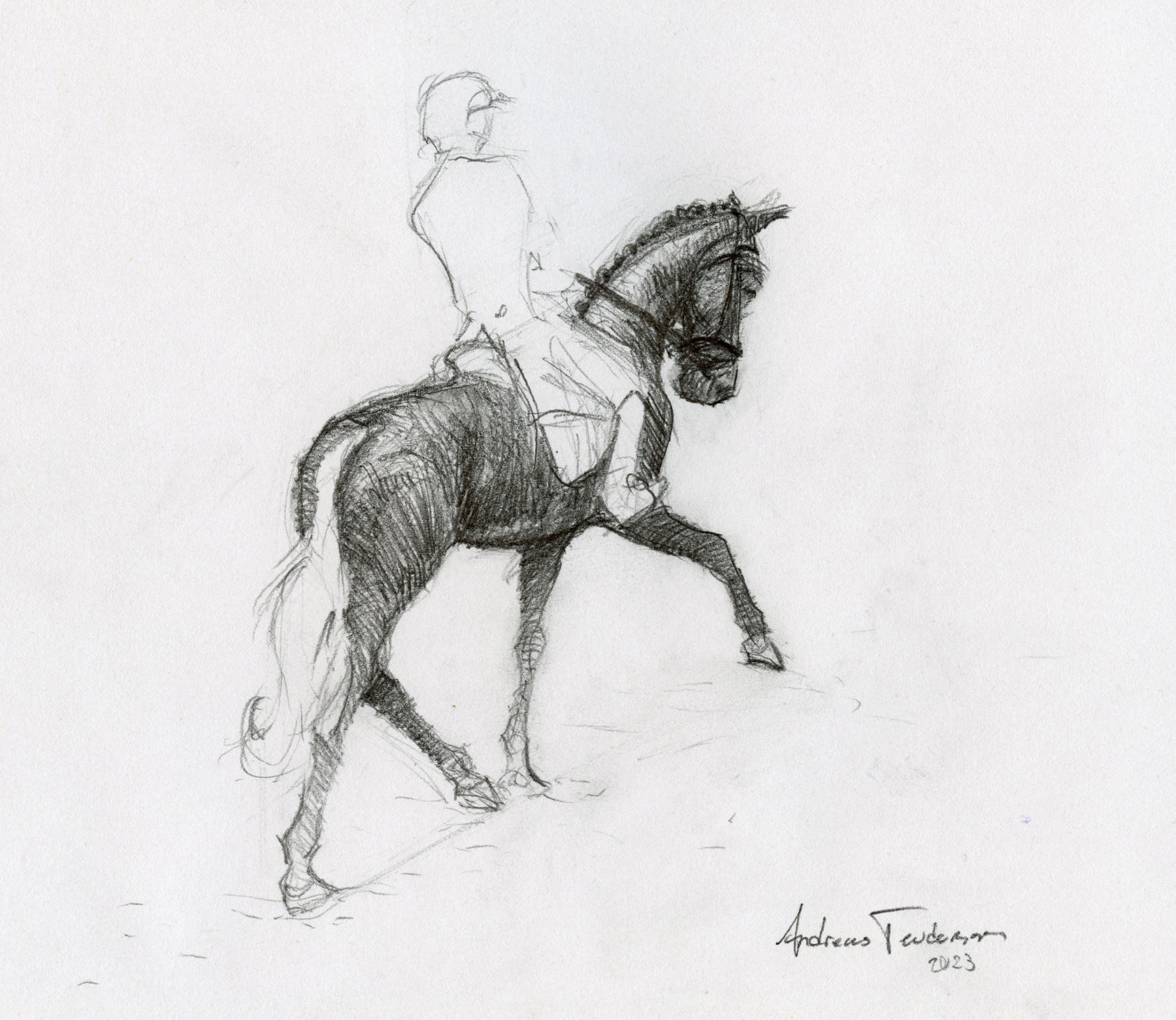 Pencil drawing of a dressage rider on a horse