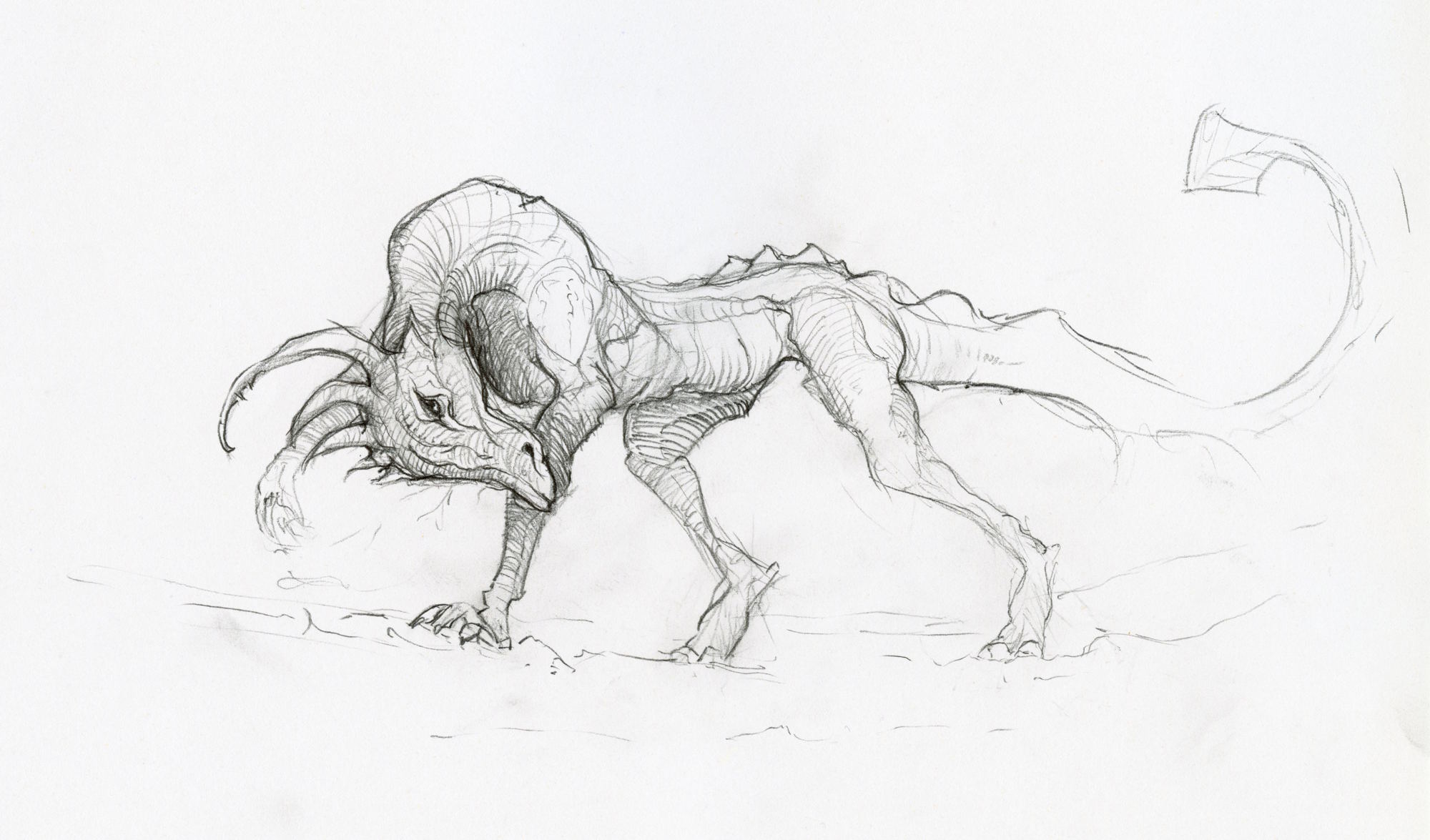 Pencil drawing of a dragon