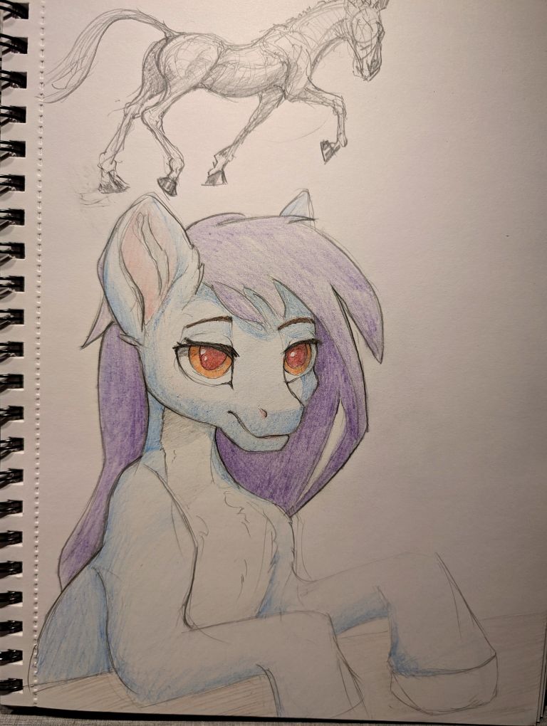 Pencil drawing of a pony